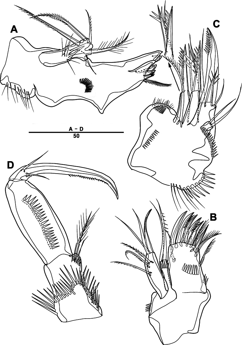 Figure 30