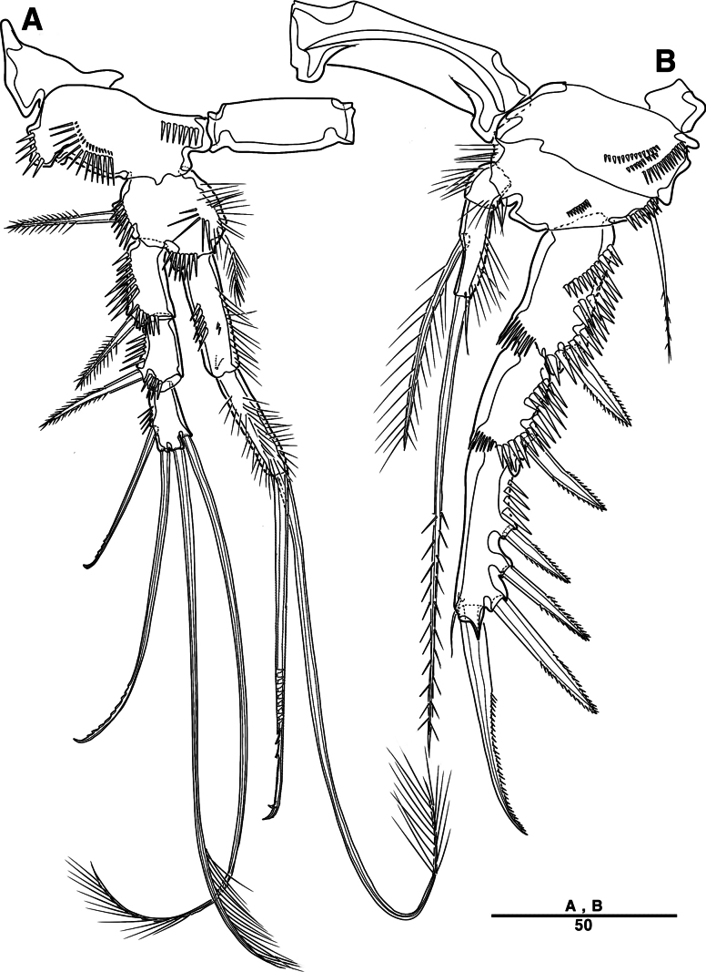 Figure 31