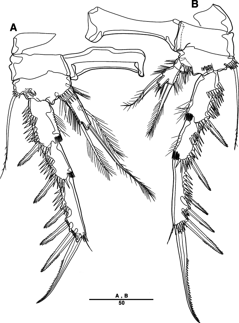 Figure 32