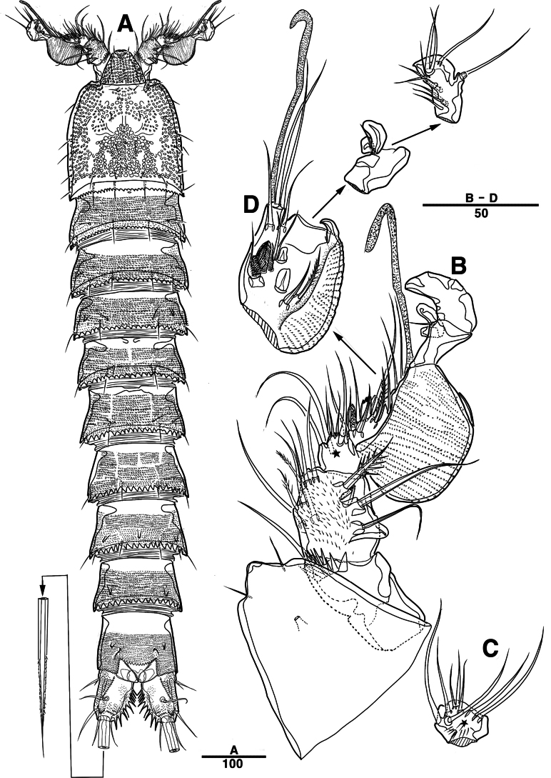 Figure 33