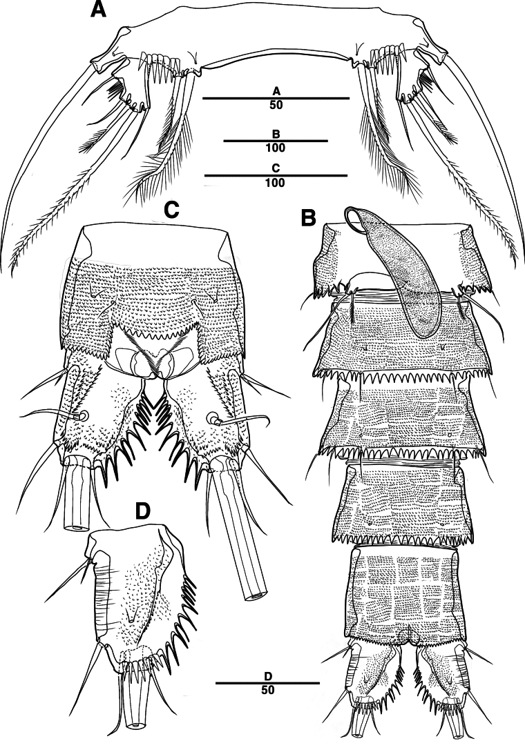 Figure 34