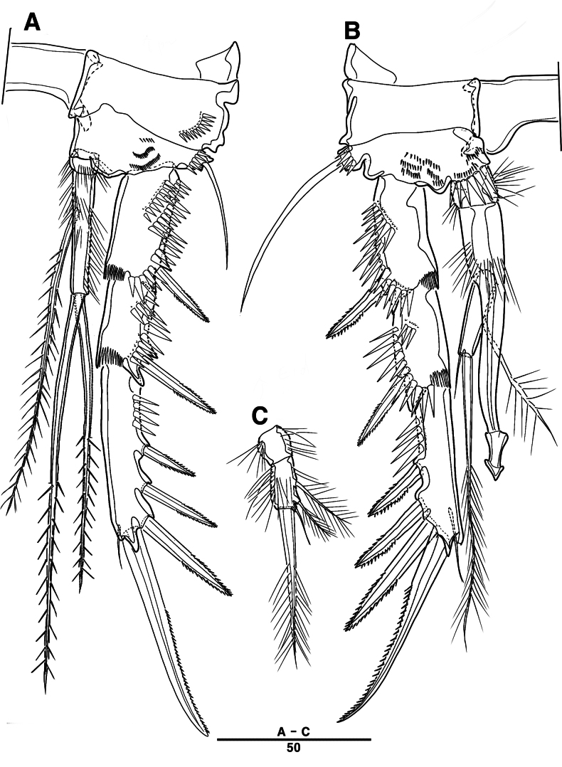 Figure 35
