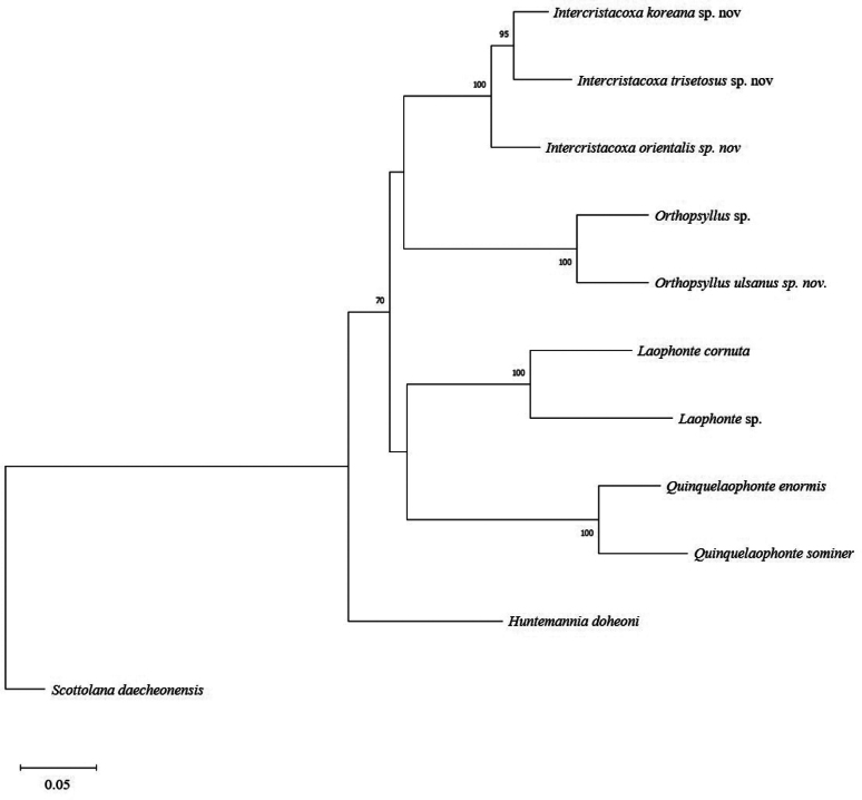 Figure 37