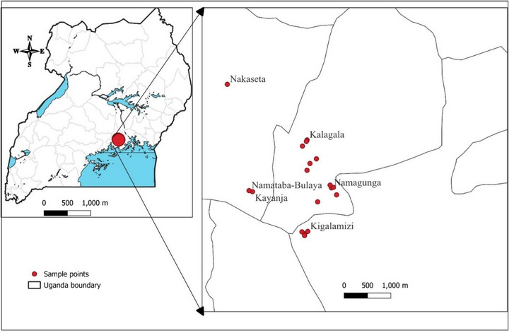 FIGURE 4