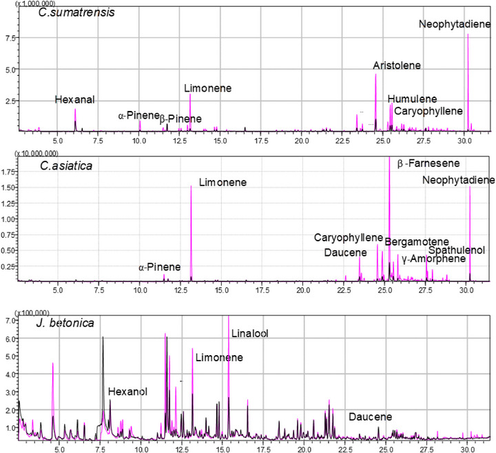 FIGURE 2