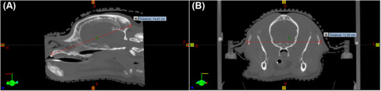 FIGURE 2