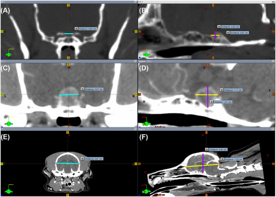 FIGURE 1