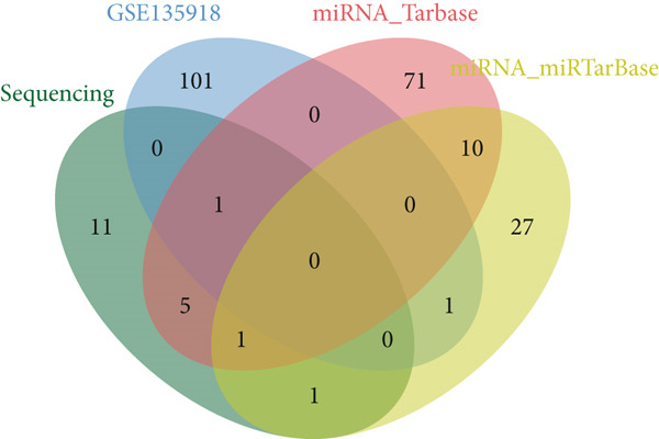 Figure 13