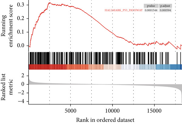 Figure 18
