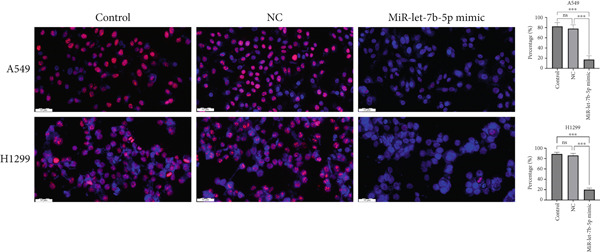 Figure 20