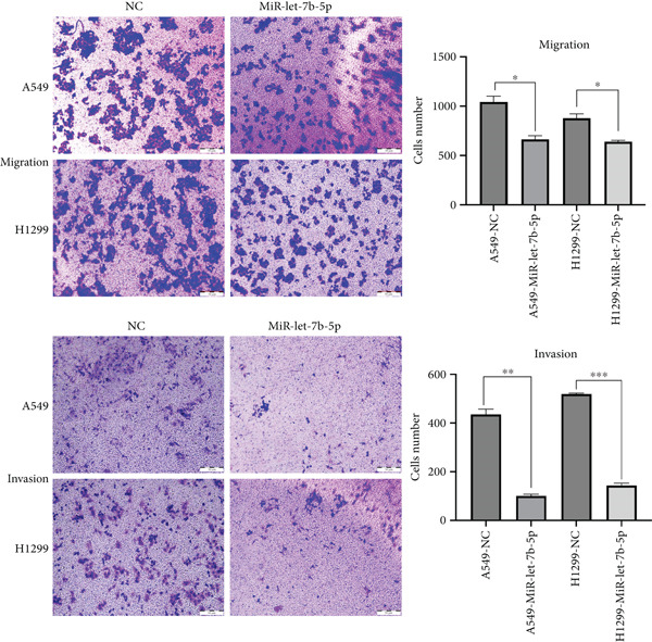 Figure 22