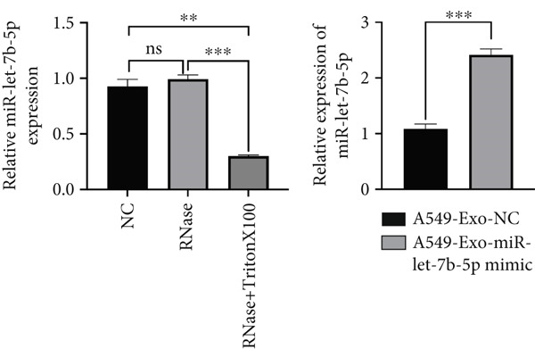 Figure 25