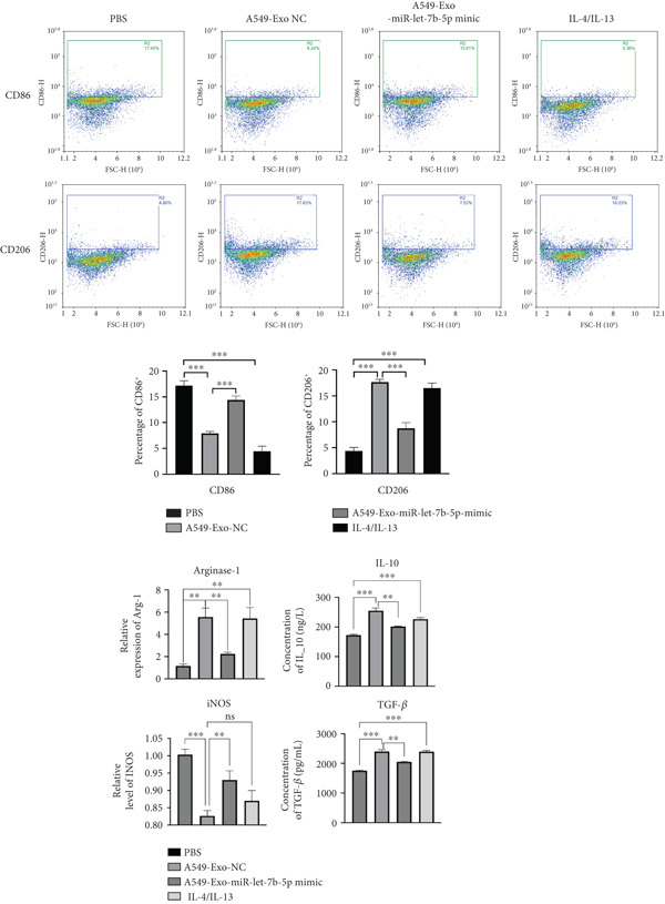 Figure 26