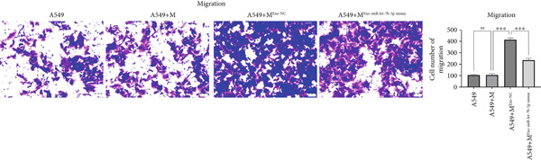 Figure 27