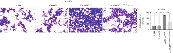 Figure 28