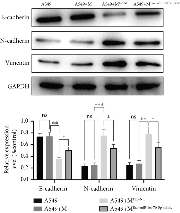 Figure 29