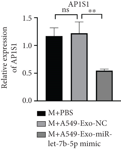 Figure 31