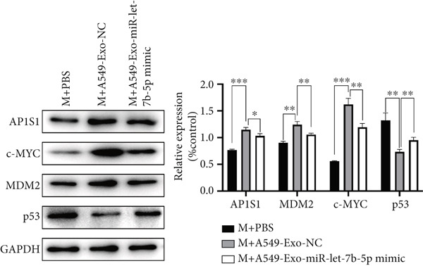 Figure 32
