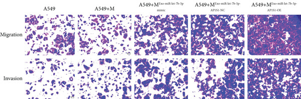 Figure 35