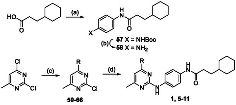 Scheme 1