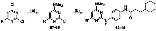 Scheme 2