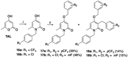 Scheme 2