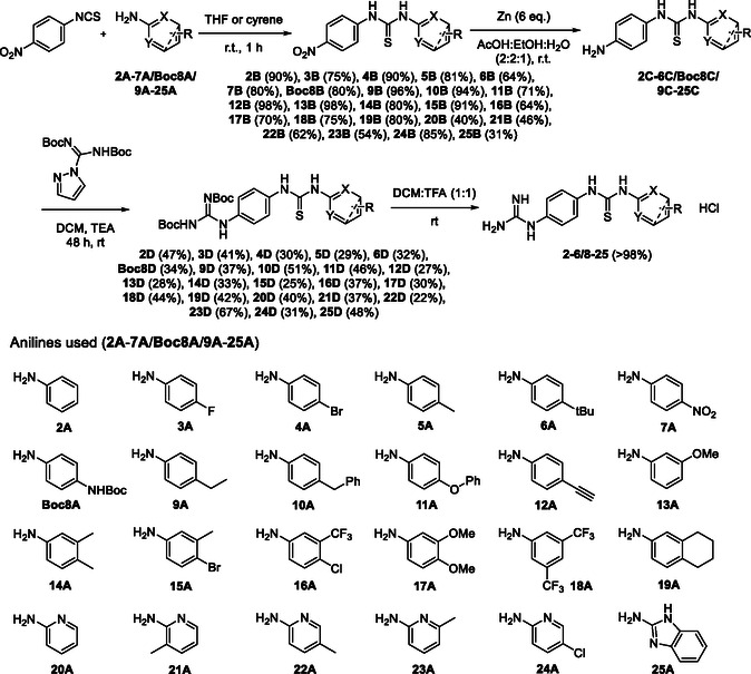 Scheme 1