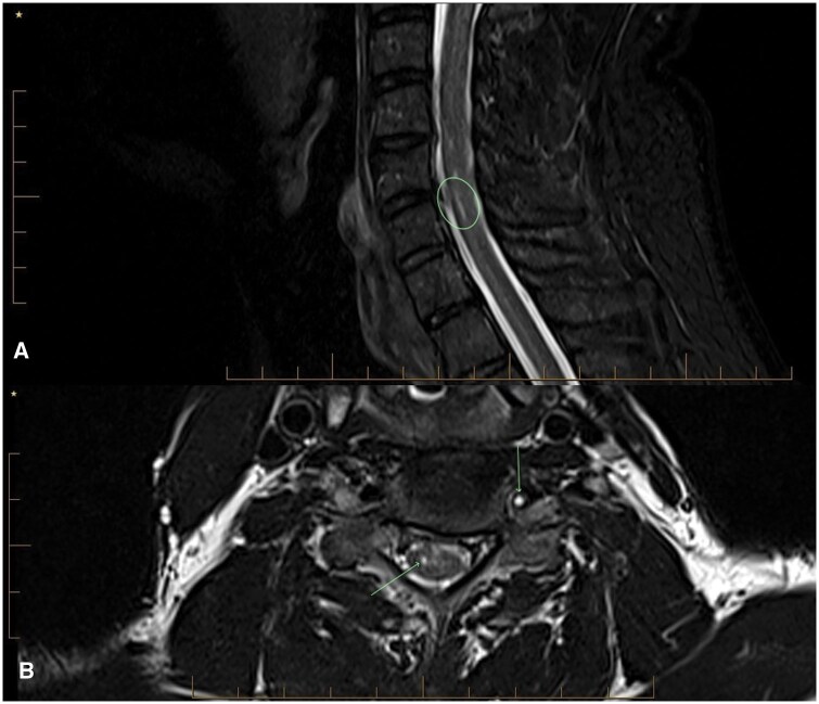 Figure 6