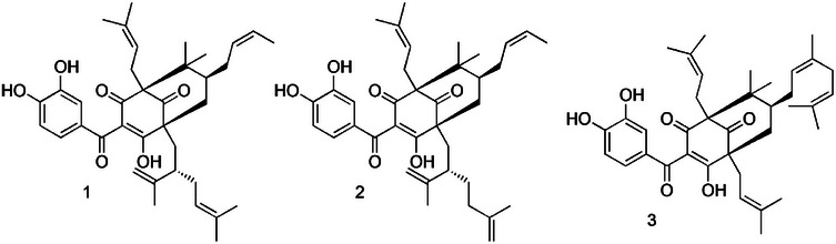 FIGURE 1