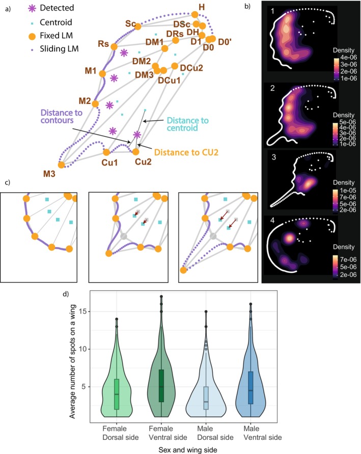FIGURE 3