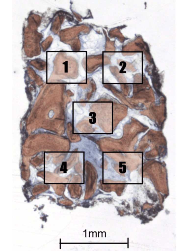Figure 8