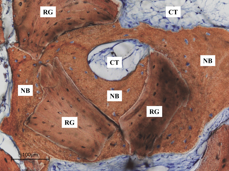 Figure 13