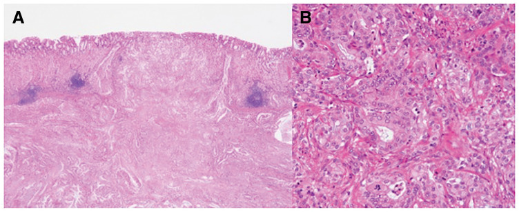 Fig. 7