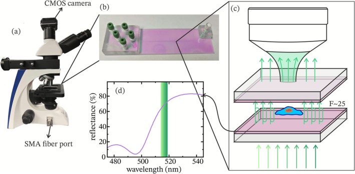 FIGURE 1