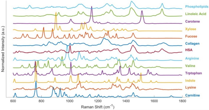 FIGURE 3