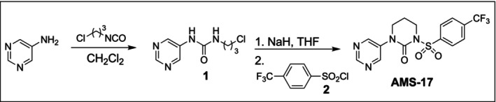 FIGURE 1