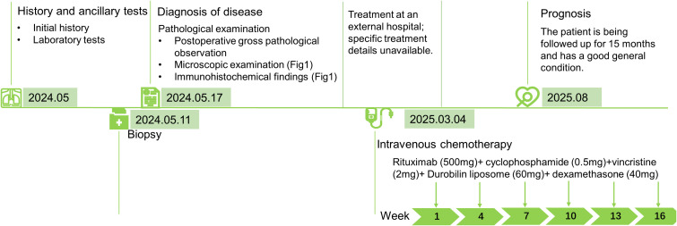 Figure 2