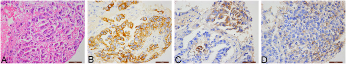 Figure 3
