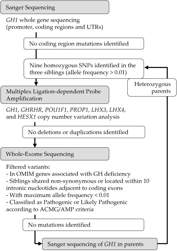 Figure 1