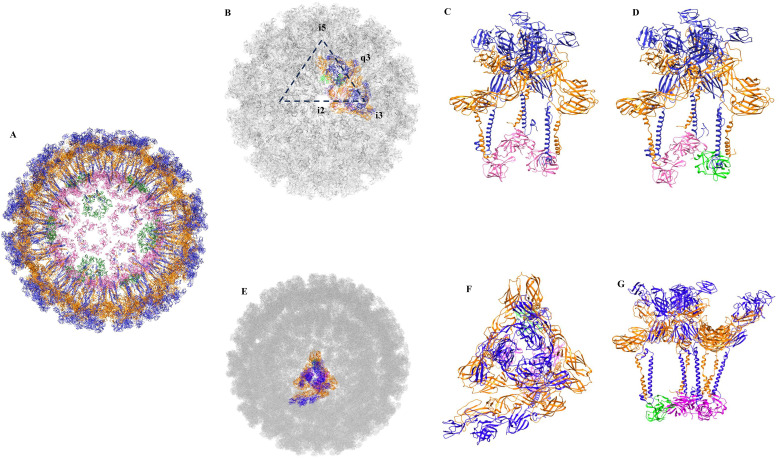 Figure 1