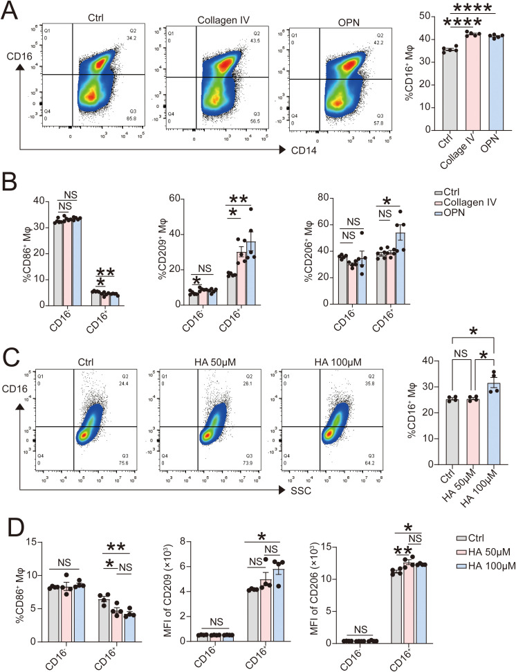 Figure 6