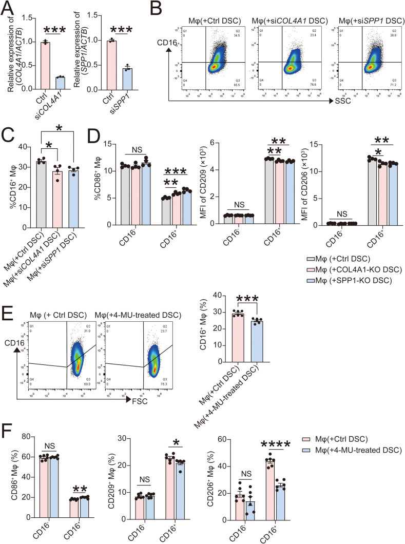 Figure 7