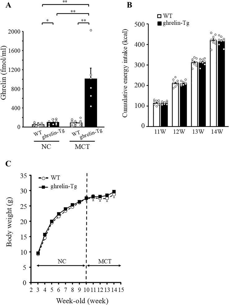 Figure 2