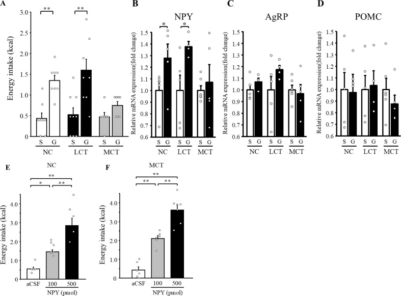 Figure 5