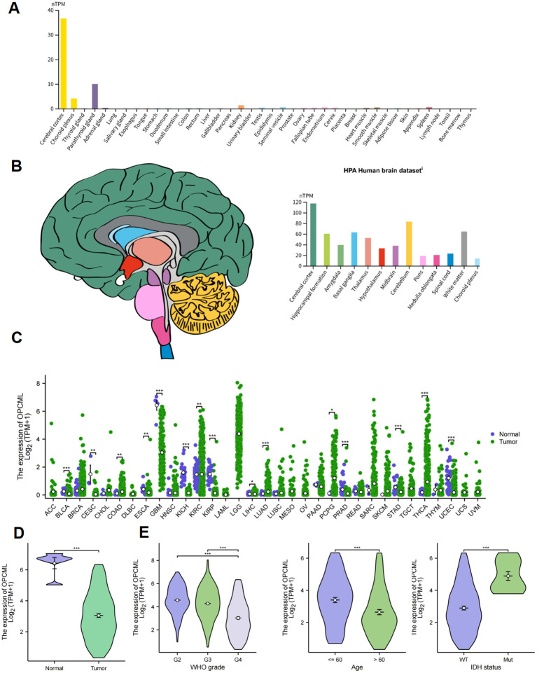 Figure 2