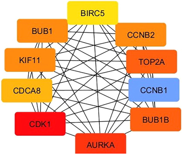 Figure 4