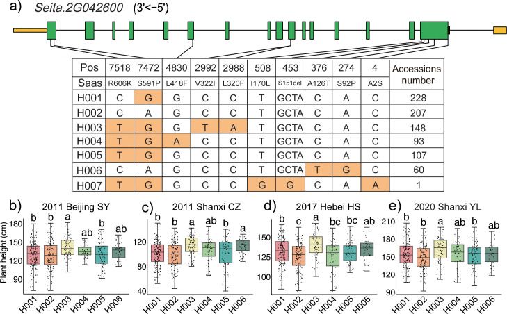 Figure 6