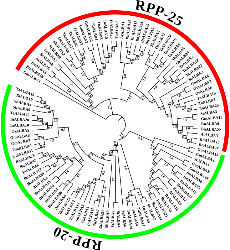 Figure 1
