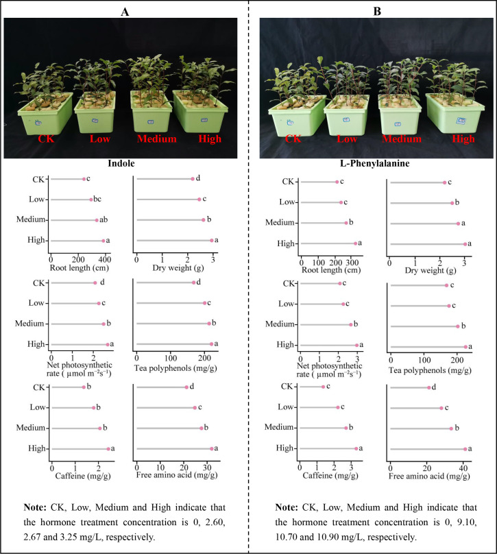 Figure 10