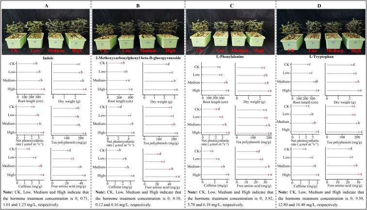 Figure 11